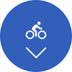 icon scroll