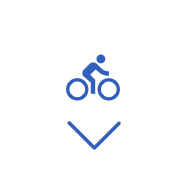 icon scroll